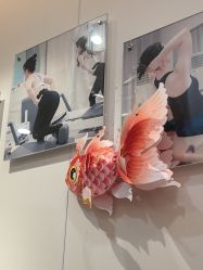 -意施精准塑形普拉提