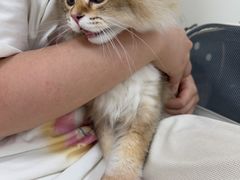 -美联众合动物医院·24h京西诊疗中心