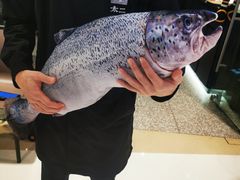 -太二酸菜鱼(石家庄万象城店)