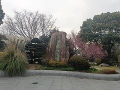 -昆山城市生态森林公园