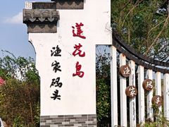 -莲花岛景区