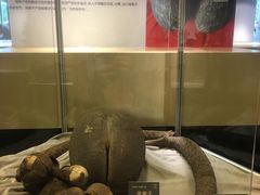 -北京植物园-展览温室
