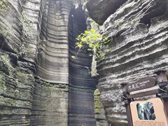 -梭布垭石林景区