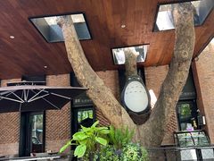 -西安电影制片厂