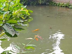 -成都杜甫草堂博物馆