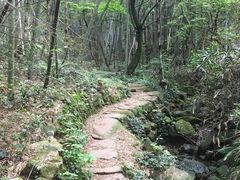 -会稽山峡洞漂流-上青古道