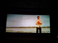 -万达影城(锦华万达广场IMAX店)