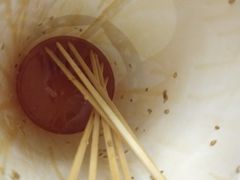 -童陈记重庆冷串串(食宝街店)