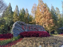 -东平国家森林公园