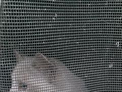 -达爱动物医院·犬猫分区·CT·复杂眼科(远洋山水分院)