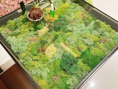 -PlantsEatery·植物食堂(REX春熙店)