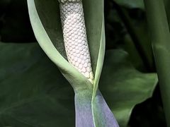 -桃花涧