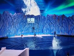 -珠海长隆海洋王国