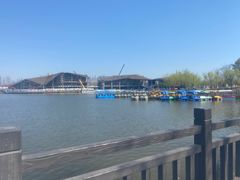 -上海长兴岛郊野公园