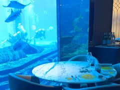 -亚特兰蒂斯•OSSIANO奥西亚诺海底餐厅