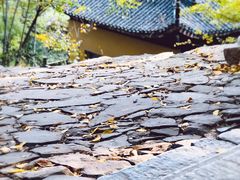 -雨花胜境