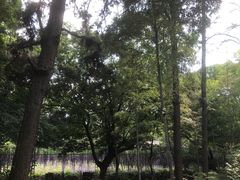 -宝岩生态观光园