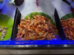 -8号公馆(金川街店)