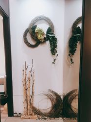 -Oasis Beauty水磨坊科技美肤中心