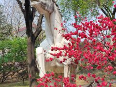-莲花池公园