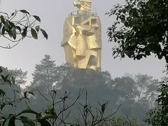 -南山植物园