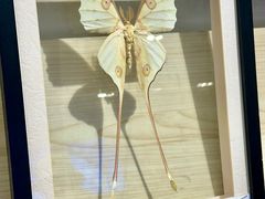 -深圳龙华星河COCO City(民治店)