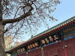 -天津大悲禅院
