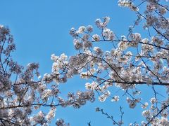 -苏州上方山国家森林公园