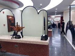 -IP SALON