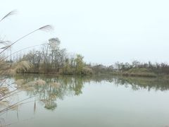 -白鹭湾湿地公园