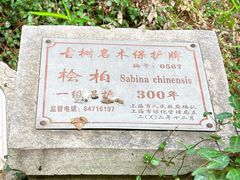 -松江清真寺
