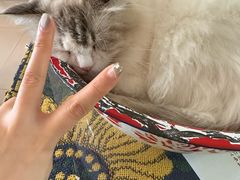 -平行世界·猫咖(首经贸店)