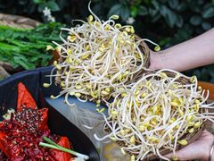 -阳阳老火锅(小南门店)