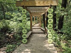 -大岭沟猕猴桃谷风景区