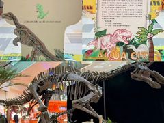 -鹏欣水游城