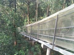 -四会奇石河风景区