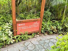 -碧水湾温泉
