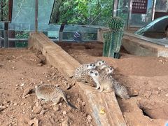 -济南野生动物世界