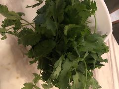 -同仁四季椰子鸡(福田东园总店)
