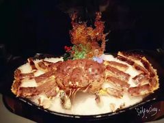 -半岛翡丽海鲜自助餐厅(观风亭店)