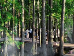 -东湖落雁景区