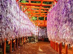 -金泽21世纪美术馆