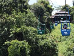 -野象谷景区