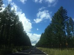 -塞罕坝国家级自然保护区