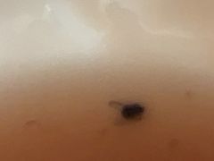 -兴芮温泉度假区