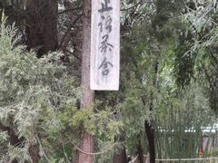 -洛阳白马寺