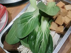 -成老灶火锅鸡(平山店)