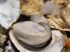 -小竹签烤肉纸包鱼小龙虾(唐韵路店)