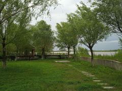 -呼兰河口湿地公园