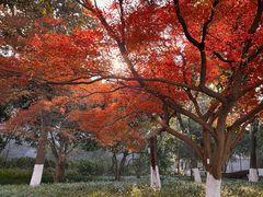 -星巴克(西湖天地店)